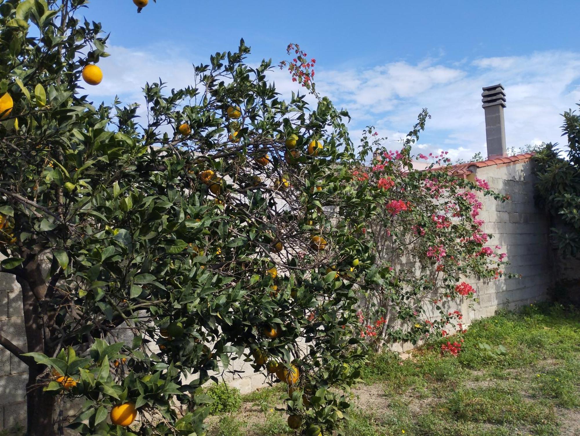 Giuly'S House Βίλα Càbras Εξωτερικό φωτογραφία